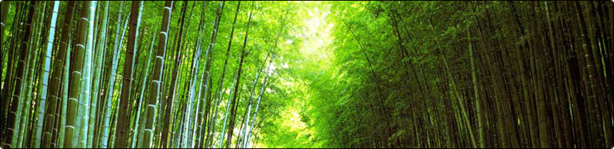 Bamboo Flooring