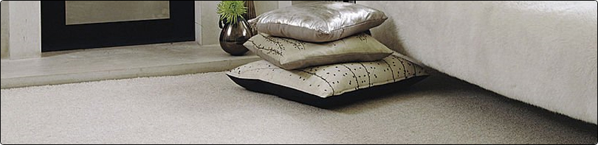 Carpet