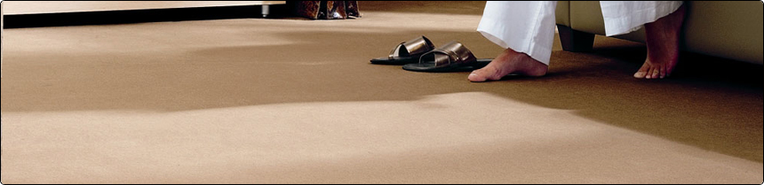 Carpet
